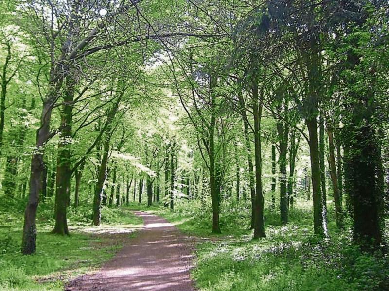 Solution agreed over Kildare soldier's Donadea memorial