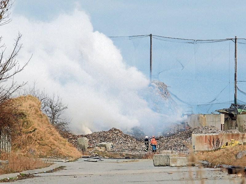 Tenders are being sought to build a new park near Naas