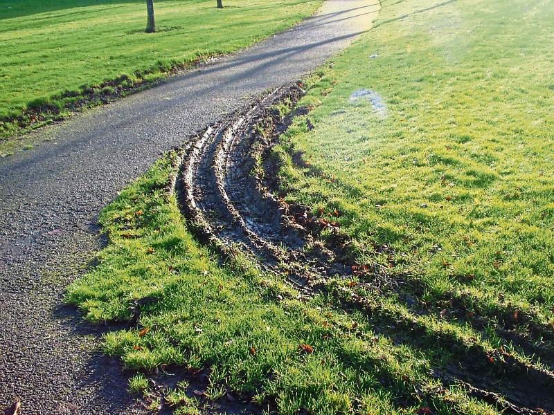 Kildare County Council will repair grass margins on historic Naas route