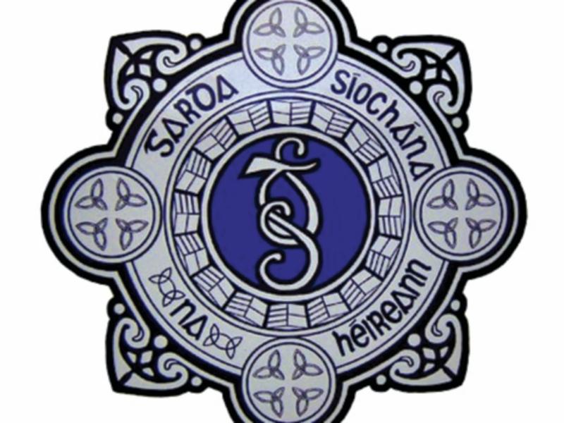 Naas resident's car broken into