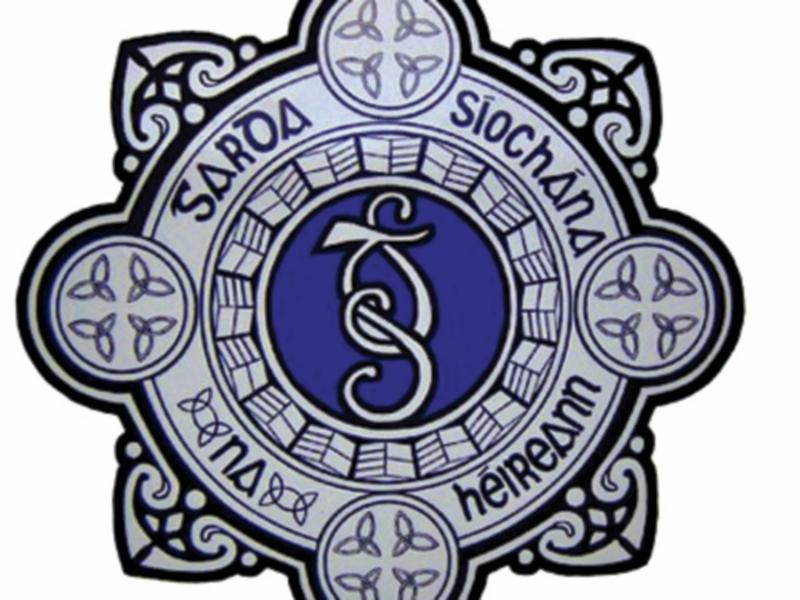 Farm equipment stolen near Naas