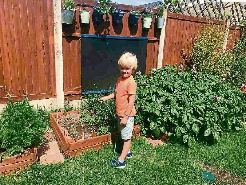 Lockdown fitness Manual labour is key for good mental health Kildare Now