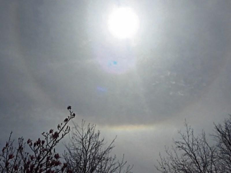 The sun will shine on County Kildare today, all day
