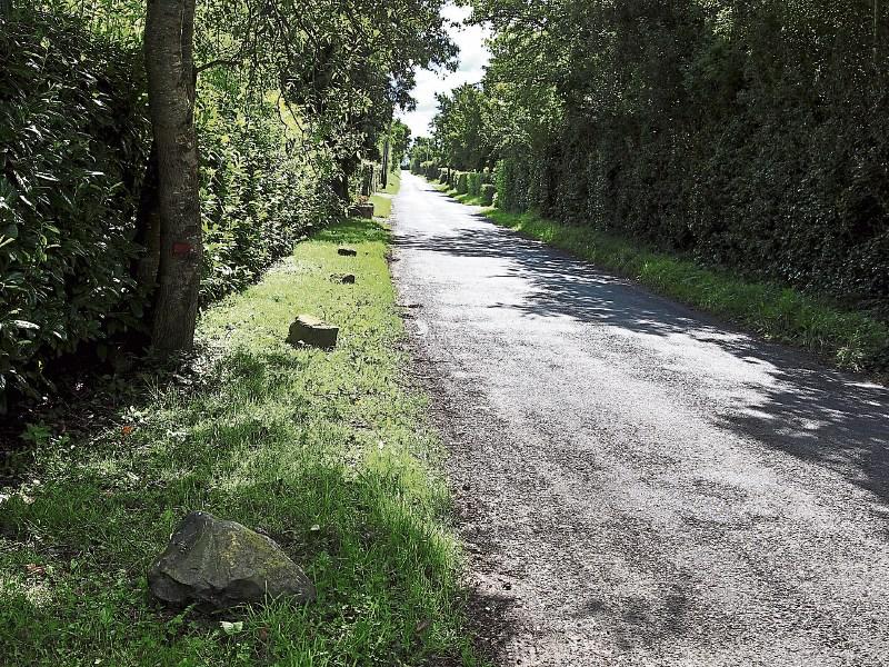 West Kildare  man dies while driving