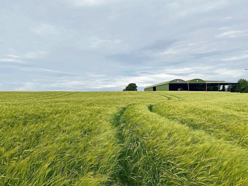 Property Watch 54 acres of land near Athy, Co Kildare, for sale