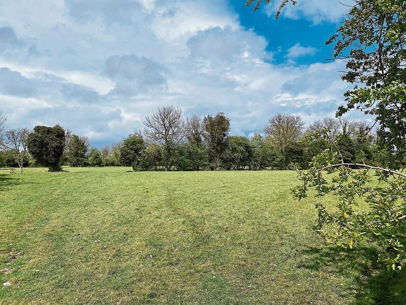 Kildare Property: Caragh land sells for €22,000 per acre