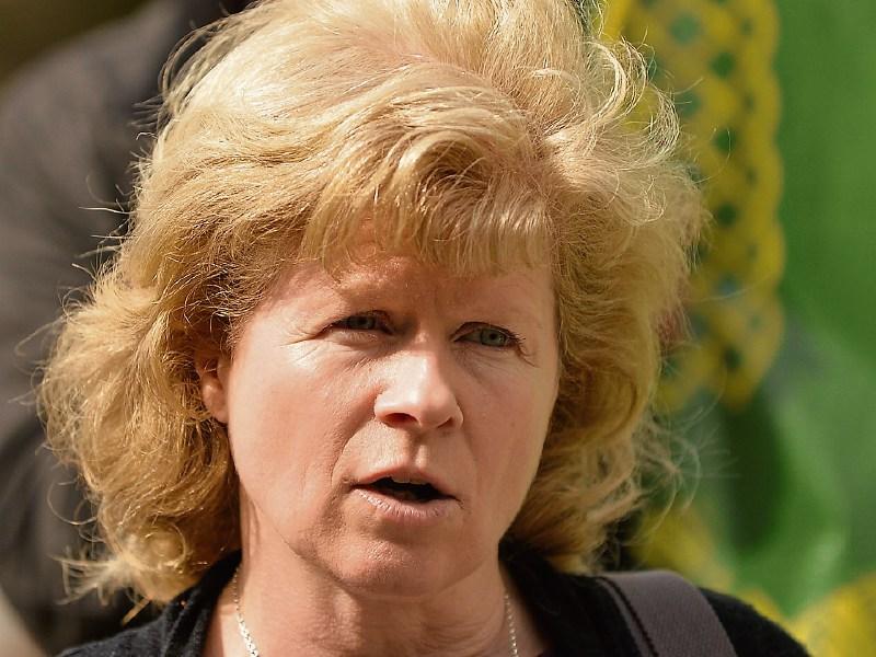 Kildare County Council ‘should pay’ for grasscutting in its housing