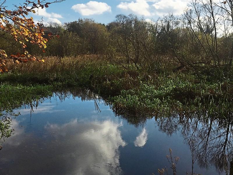 No end in sight to long awaited opening of Kildare parkland site 
