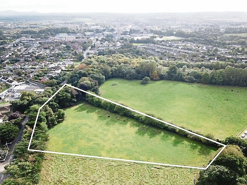 Kildare Property Watch: Sallins Road, Naas, site for sale