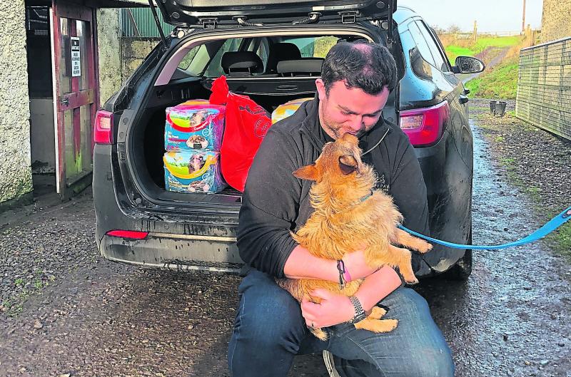 KILDARE ANIMALS IN NEED: Happy New Year to supporters and volunteers