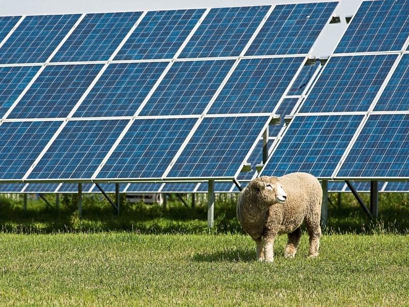 Massive Solar Farm set to be constructed in Offaly as permission granted