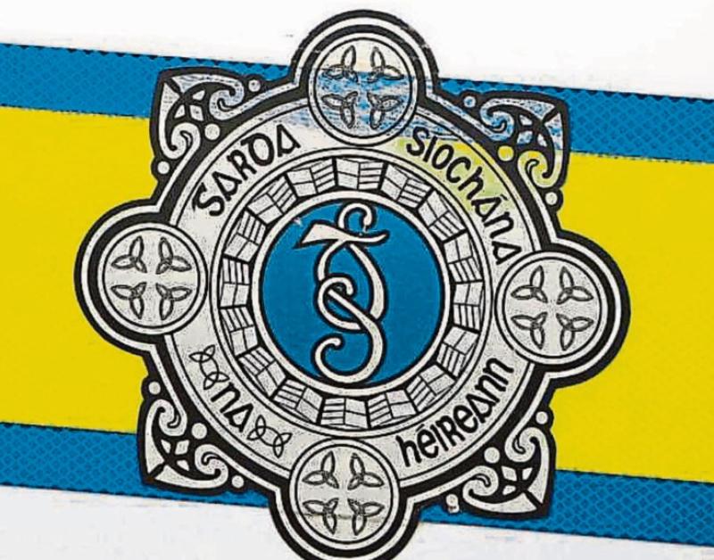 An Garda S&iacute;och&aacute;na