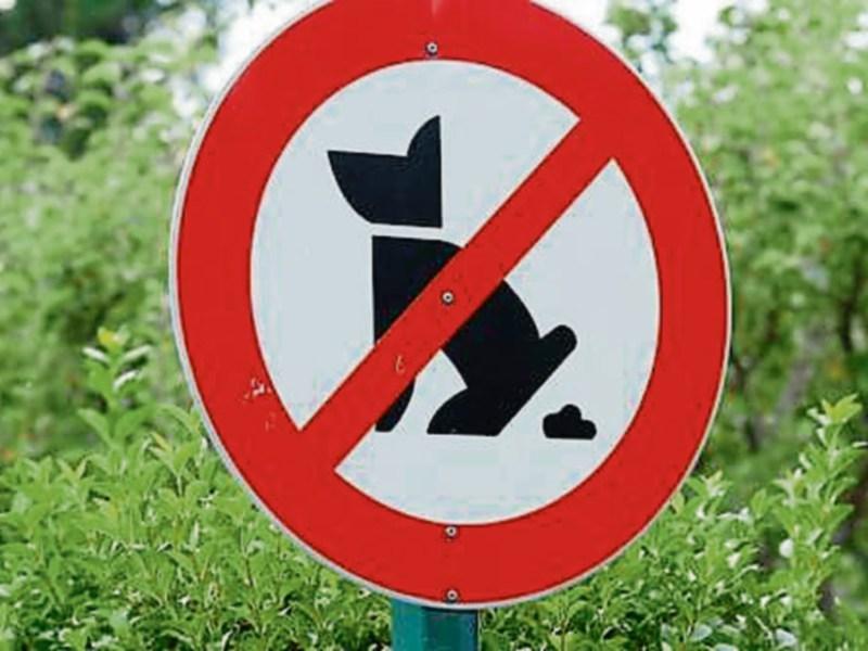 Dog fouling