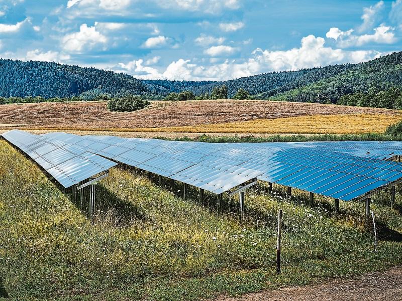 18,000 solar panel farm plans lodged for Pollardstown, the Curragh