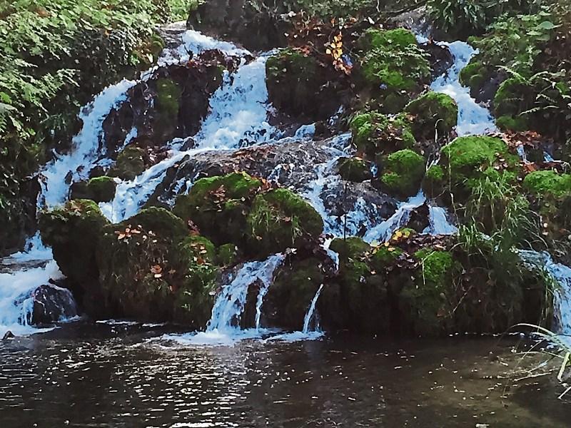 Kildare County Council to survey new park for residents