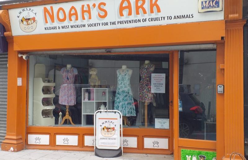 Big Kildare Interview: Animal charity discusses its  most unusual donations