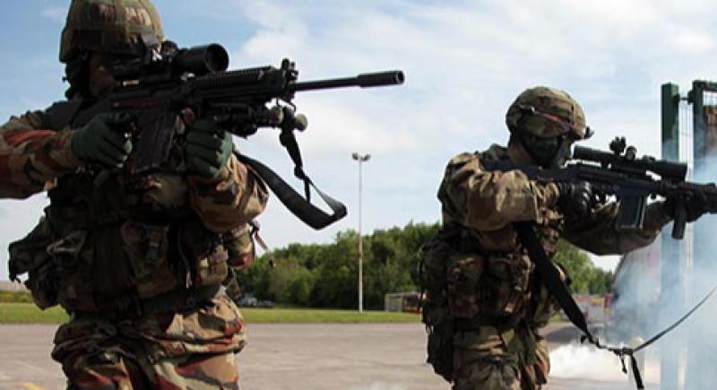 Irish army