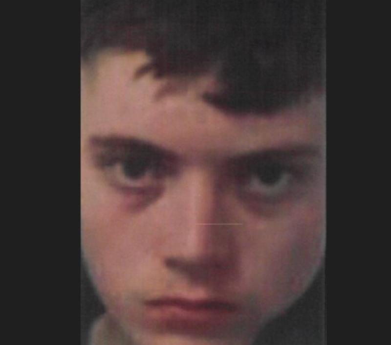 MISSING: Gardaí seeking public's assistance in tracing whereabouts of Portarlington teenager