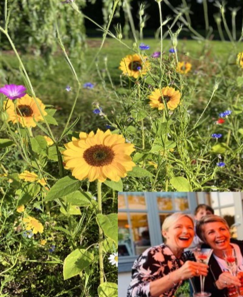'I just wanted to give something back': Over €12,000 raised in inspiring flower fundraiser by Kildare woman