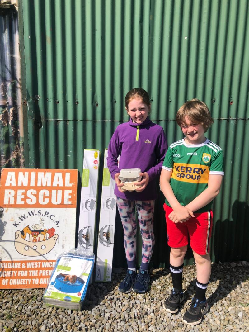 Kildare Animals In Need Generous kids donate their egg earnings to