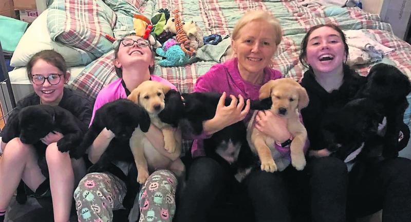 Guide dog puppy raisers needed in County Kildare