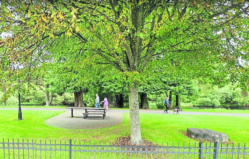 Developers own some sections of Newbridge's Liffey Linear Park, Kildare meeting hears