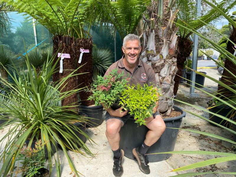 Gardening with Jo: Garden chores in the hot weather