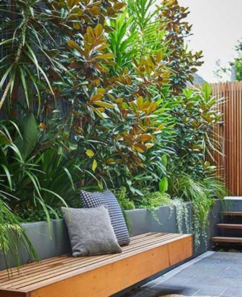 KILDARE GARDENING COLUMN: Totally tropical in your garden 