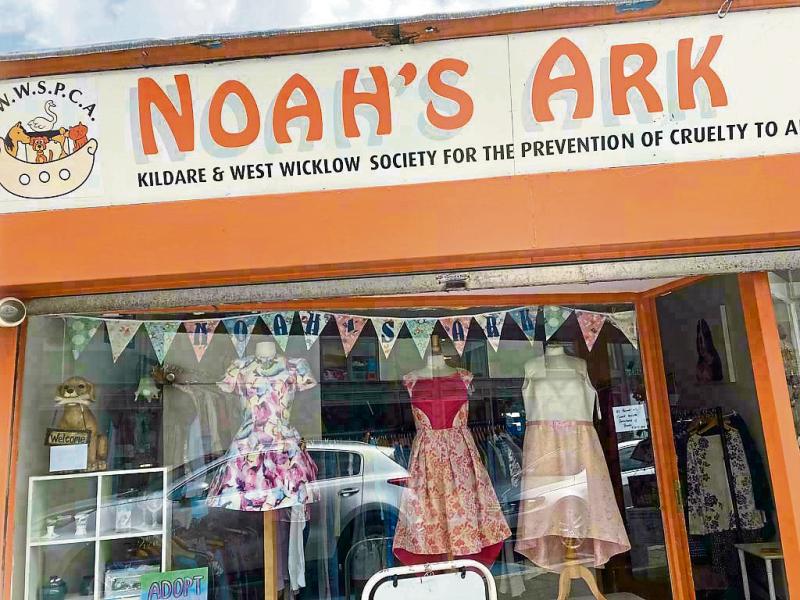 KILDARE ANIMALS IN NEED Celebrating ten years of Noah’s Ark Kildare Now