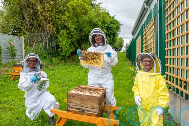 Hospital installs hives to ease children&rsquo;s bee and wasp sting fears