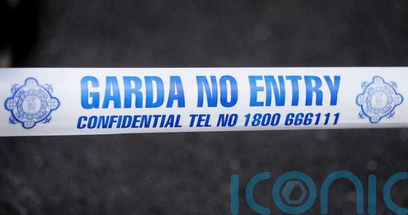 Protesters call for State to act to protect women ‘in spirit of Brigid’