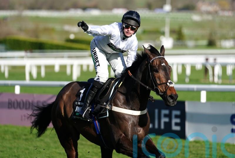 Constitution Hill tops 11 contenders to win Aintree Hurdle prize