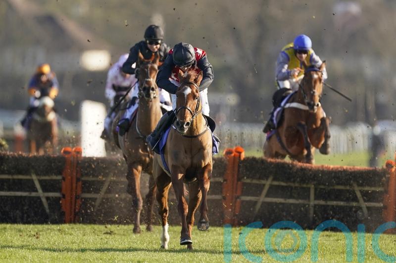 Shark Hanlon trained Cape Gentleman set to enjoy happy retirement in America