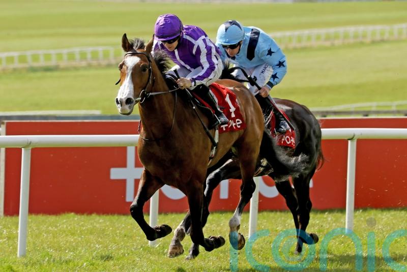 Point well made by Aidan O'Brien's returning Lonsdale in Alleged Stakes