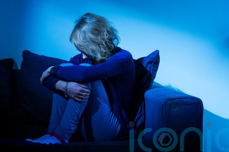 Charities raise concerns over proposed domestic violence agency board