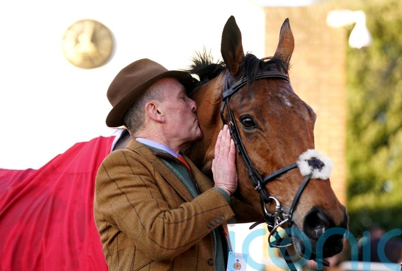 Bravemansgame given green light for Punchestown