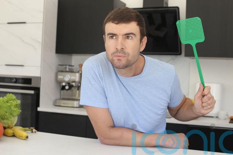 HOUSEPROUD: How to keep flying insects out of your home