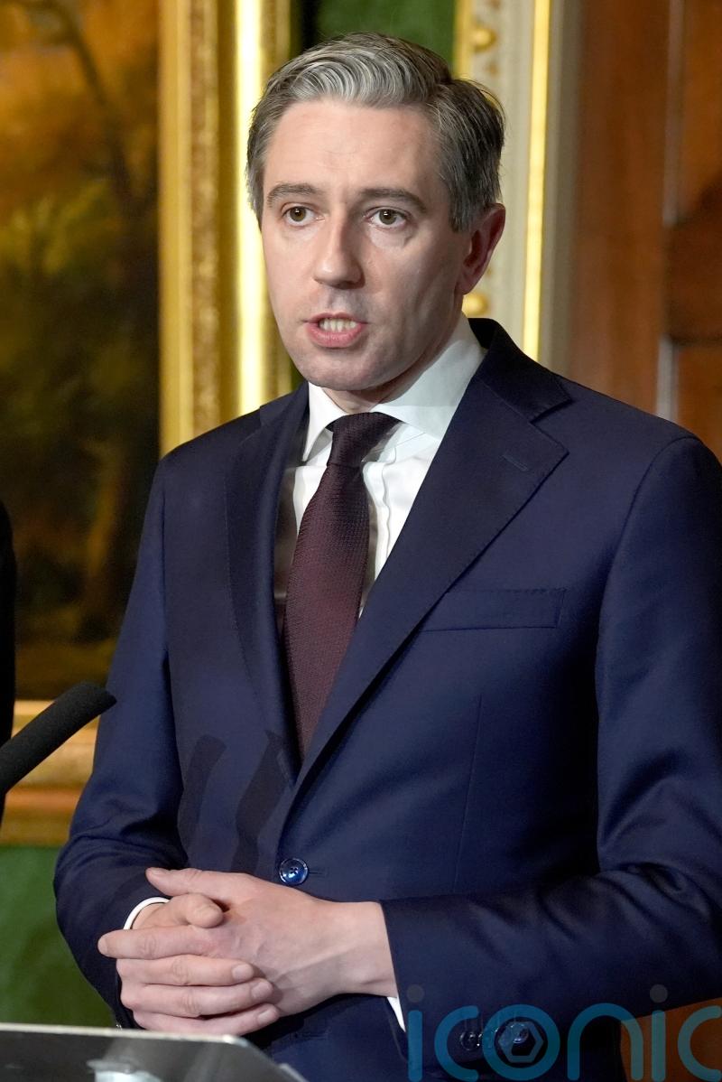 All-Ireland economy needs protecting amid tariff turmoil, Dail told