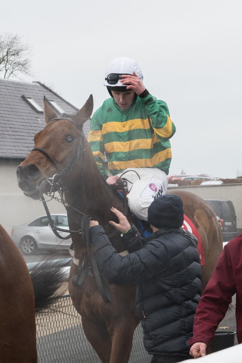 Blue Sari and jockey Mark Walsh, winner of the Kildare Now Maiden Hurdle, being led in at the  Punchestown Winter Festival, 2019