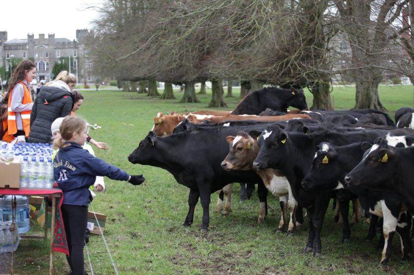 10365630_944732828979625_6982269974707029545_o