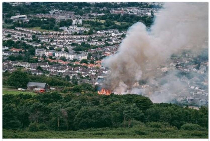 Bray fire 5