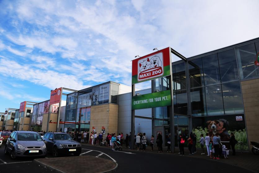 Fire sale at Smyths Toy store, NAAS