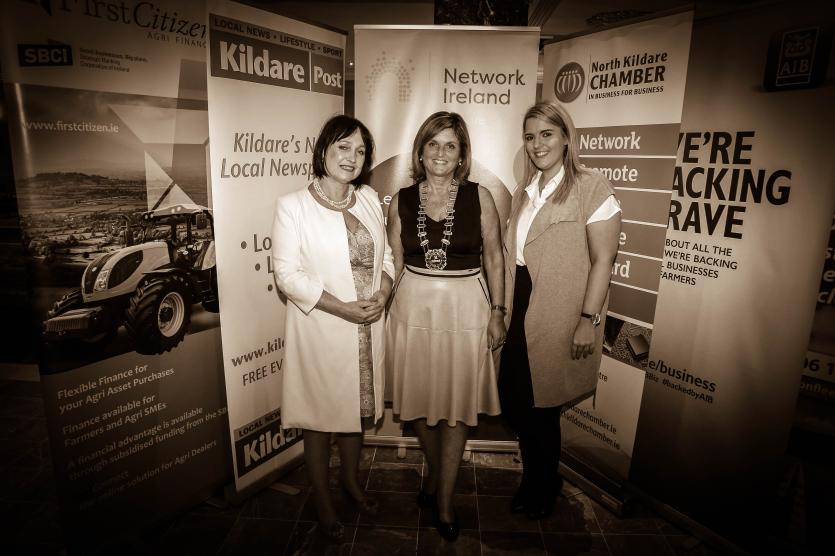 network-ireland-kildare-branch-10