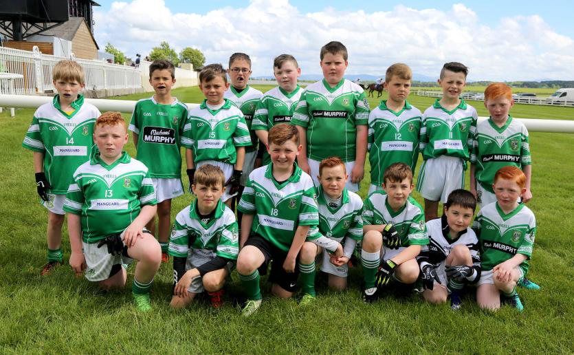 Members of Moorefield GAA