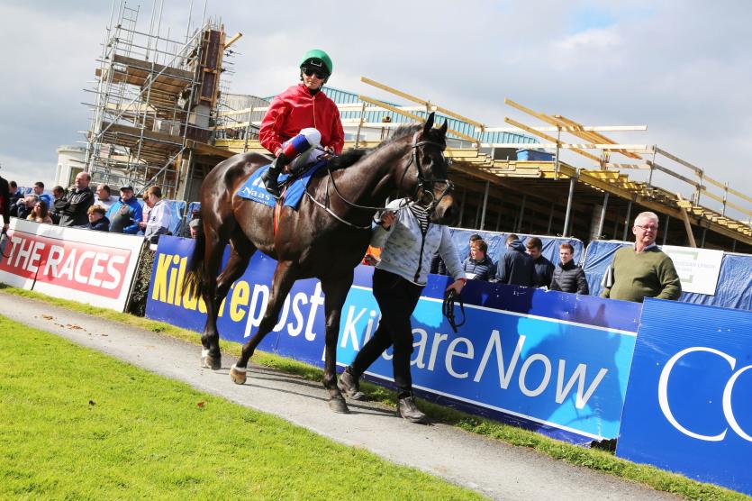 NAAS RACES (56)