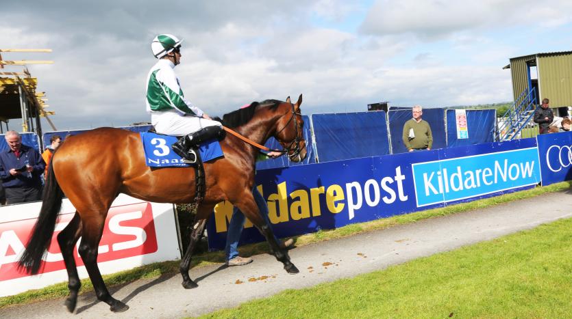 NAAS RACES (60)
