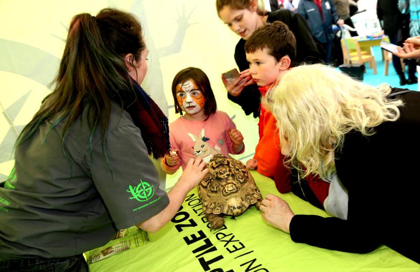 Reptile Zone Experience