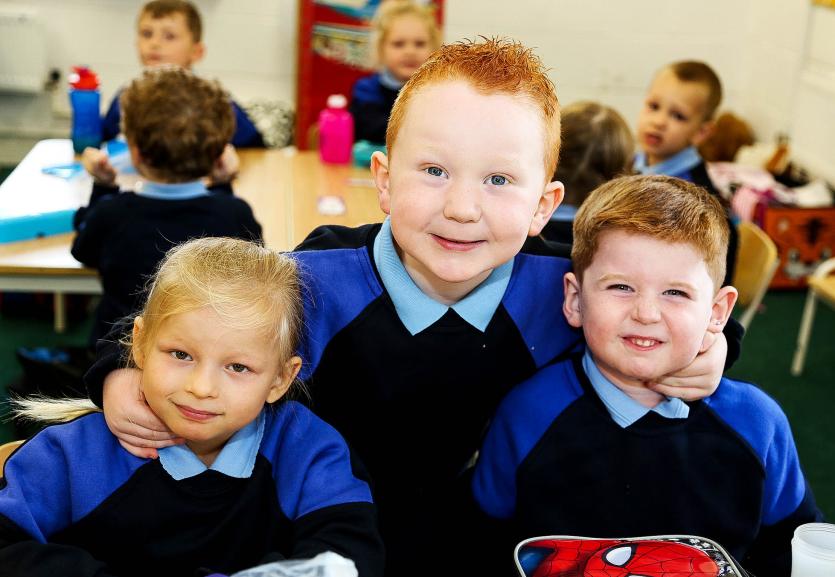 JUNIOR INFANTS SCOIL MHUIRE NS NEWBRIDGE (27)