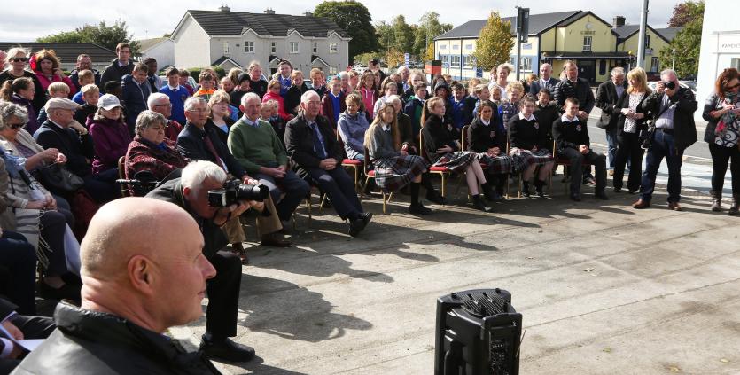 KILDARE SCULPTOR (16)