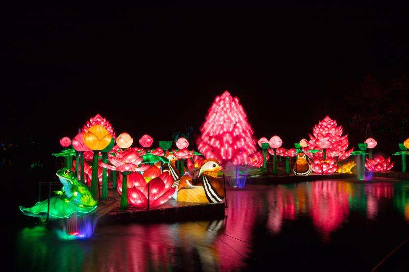 DublinZoo_WildLights08